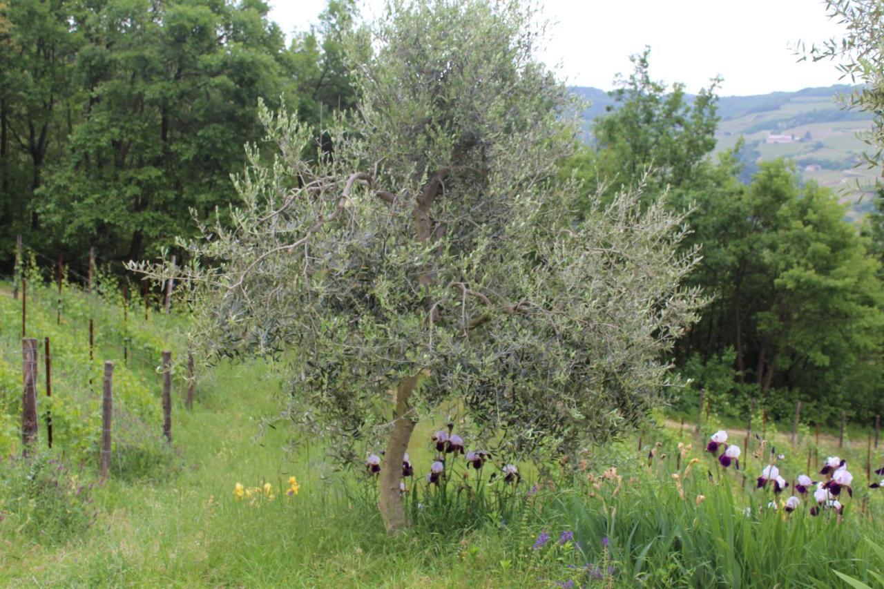 Agriturismo La Rovere Cossano Belbo Extérieur photo